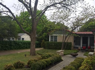 Tamara F.'s Bush Trimming service result