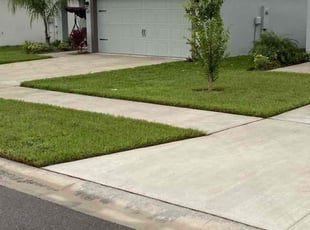 Deborah E.'s grass cutting service result