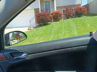 Kristy K.'s turf care service result