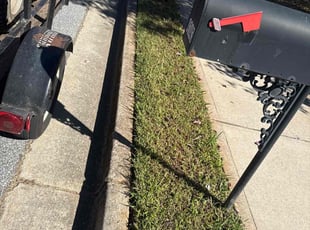 Francis T.'s lawn care service result