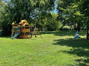 Christy C.'s turf maintenance service result