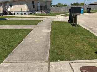 Brenda P.'s lawn care service result