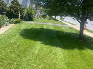 Katie H.'s lawn care services service result