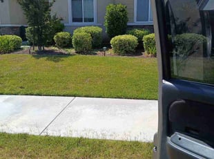 Michael V.'s turf care service result