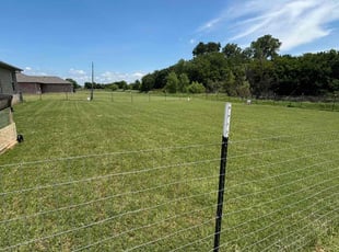 Washington L.'s grass maintenance service result