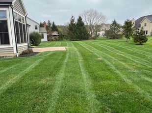 Thomas J.'s lawn service service result