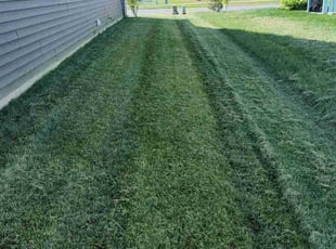 Gilbert B.'s lawn care service result