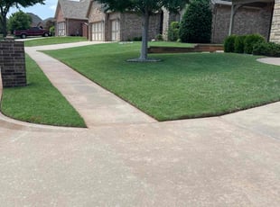 Jason P.'s grass maintenance service result