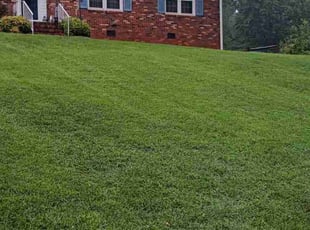 Amie W.'s lawn maintenance service result