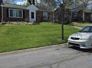Irma H.'s grass maintenance service result