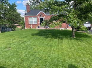 Julie P.'s lawn care service result