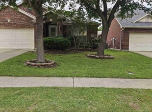 Shawn L.'s yard service service result