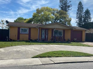 Luis S.'s turf care service result