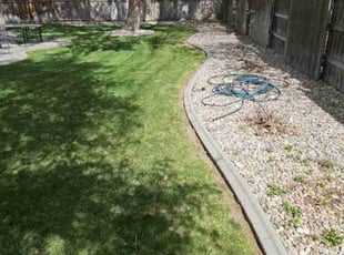 Katrina F.'s lawn service service result