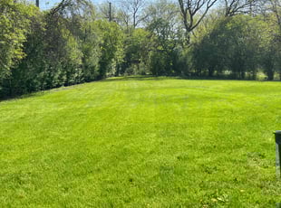 Jarrod W.'s lawn care services service result