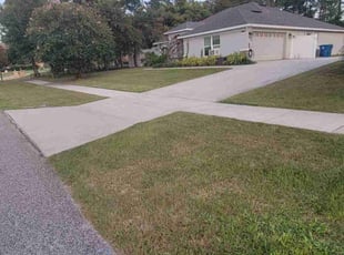 Tony P.'s turf maintenance service result