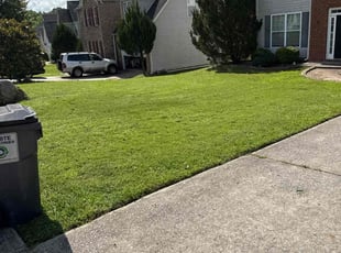Sy H.'s lawn care service result