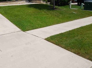 Tauni O.'s lawn care services service result