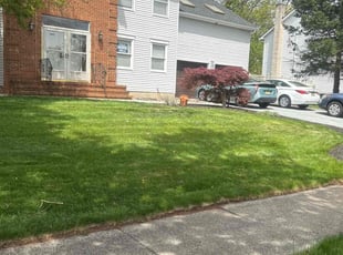 Bobby C.'s lawn maintenance service result