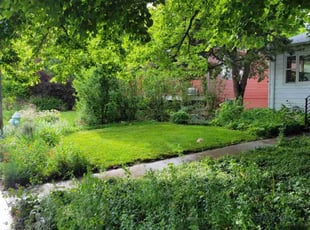 Earl A.'s lawn care service result