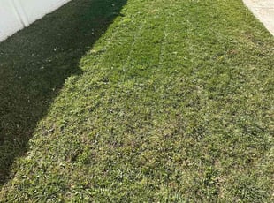 Jake H.'s lawn maintenance service result