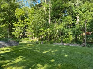 Harold H.'s lawn care service result