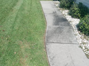 Andrew C.'s Bush Trimming service result