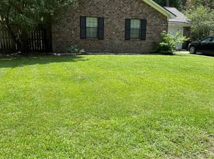 Erica M.'s lawn service service result