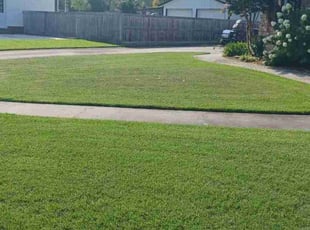 Kenneth R.'s grass cutting service result