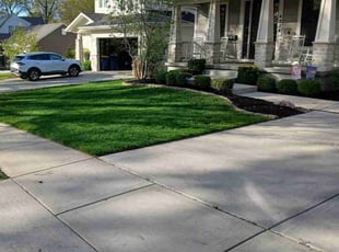 Nick P.'s Landscaping service result