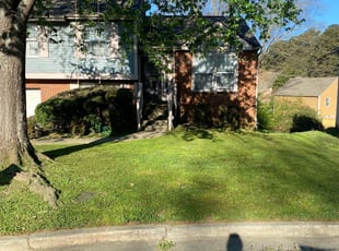 Karen T.'s Leaf Removal service result