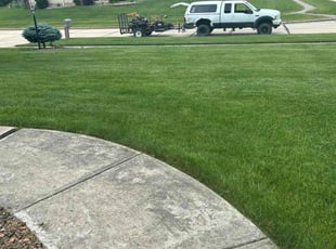 Nyree W.'s turf care service result