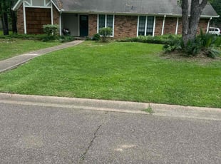 Hailey D.'s yard work service result