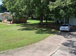 Reggie G.'s turf maintenance service result
