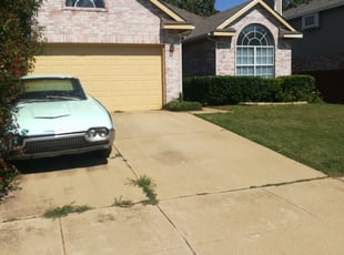 Eric S.'s Bush Trimming service result
