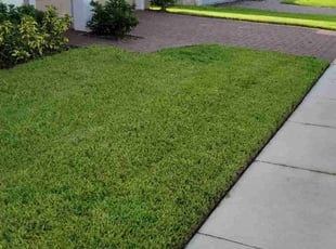 Benjamin O.'s lawn care service result