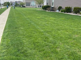 Cheryl H.'s lawn service service result