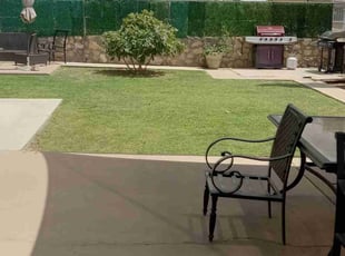 Rosemary C.'s turf care service result