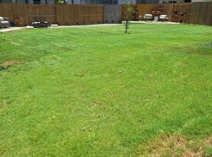 Loren H.'s grass cutting service result