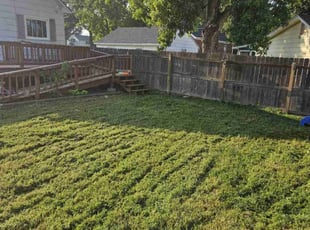 Reggie -.'s lawn care services service result