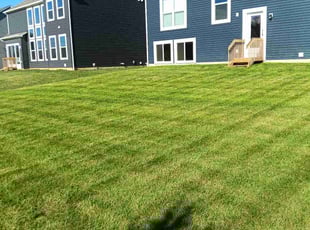 Issam j.'s lawn maintenance service result
