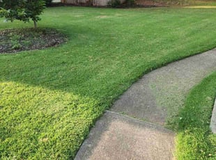 Scott N.'s lawn care services service result