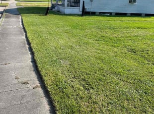 Jessica R.'s lawn care services service result