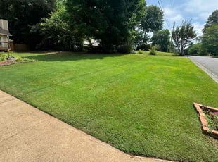 Magarette N.'s lawn maintenance service result