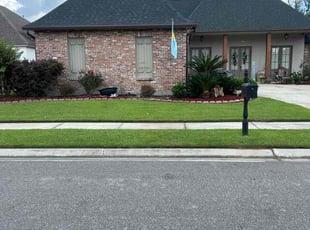 Steven A.'s lawn care service result