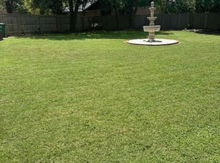 Justinray G.'s lawn care service result
