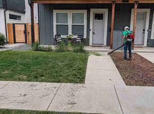 Michael S.'s turf maintenance service result