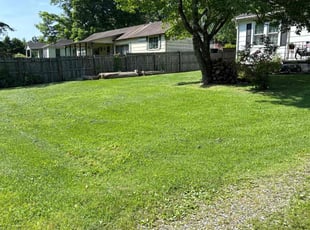 Anthony B.'s lawn maintenance service result