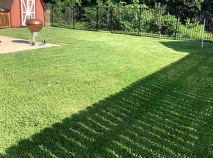 Gina S.'s lawn maintenance service result