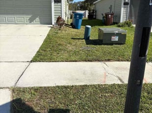 Olivia G.'s lawn care service result